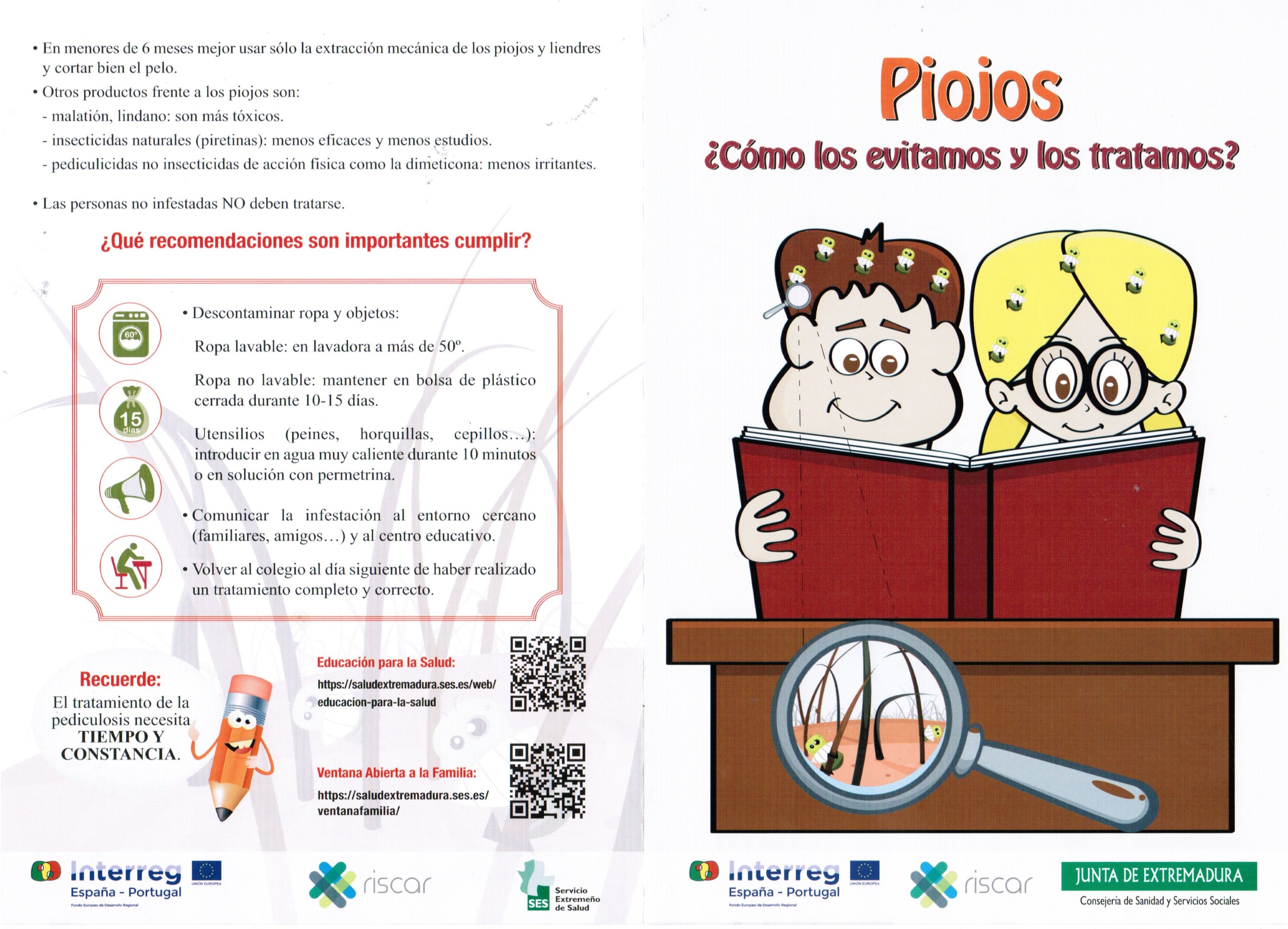 circular piojos