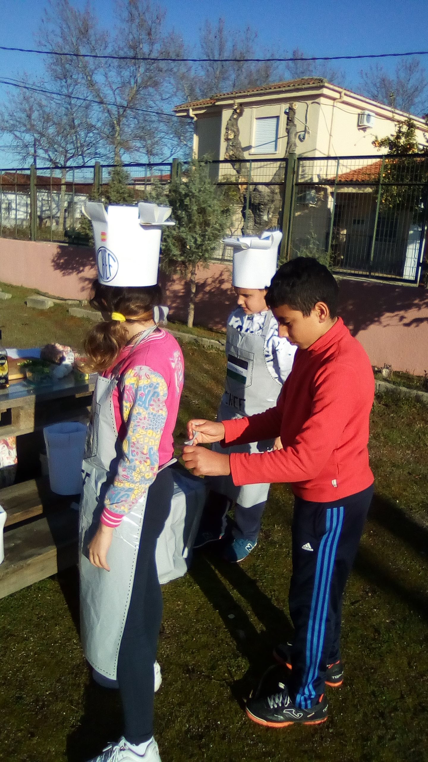 IMG 20190206 101026