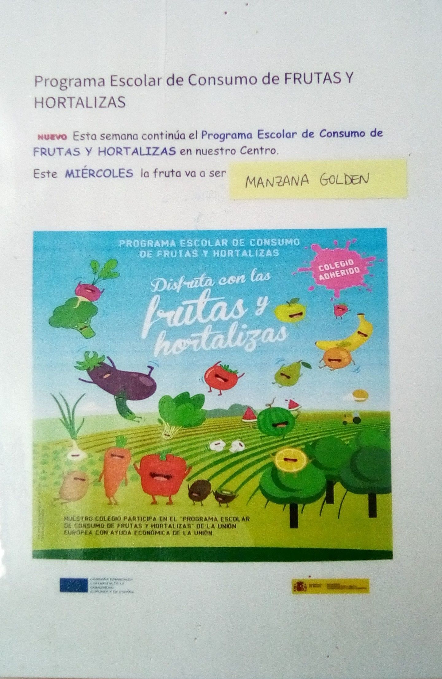 fruta octava semana