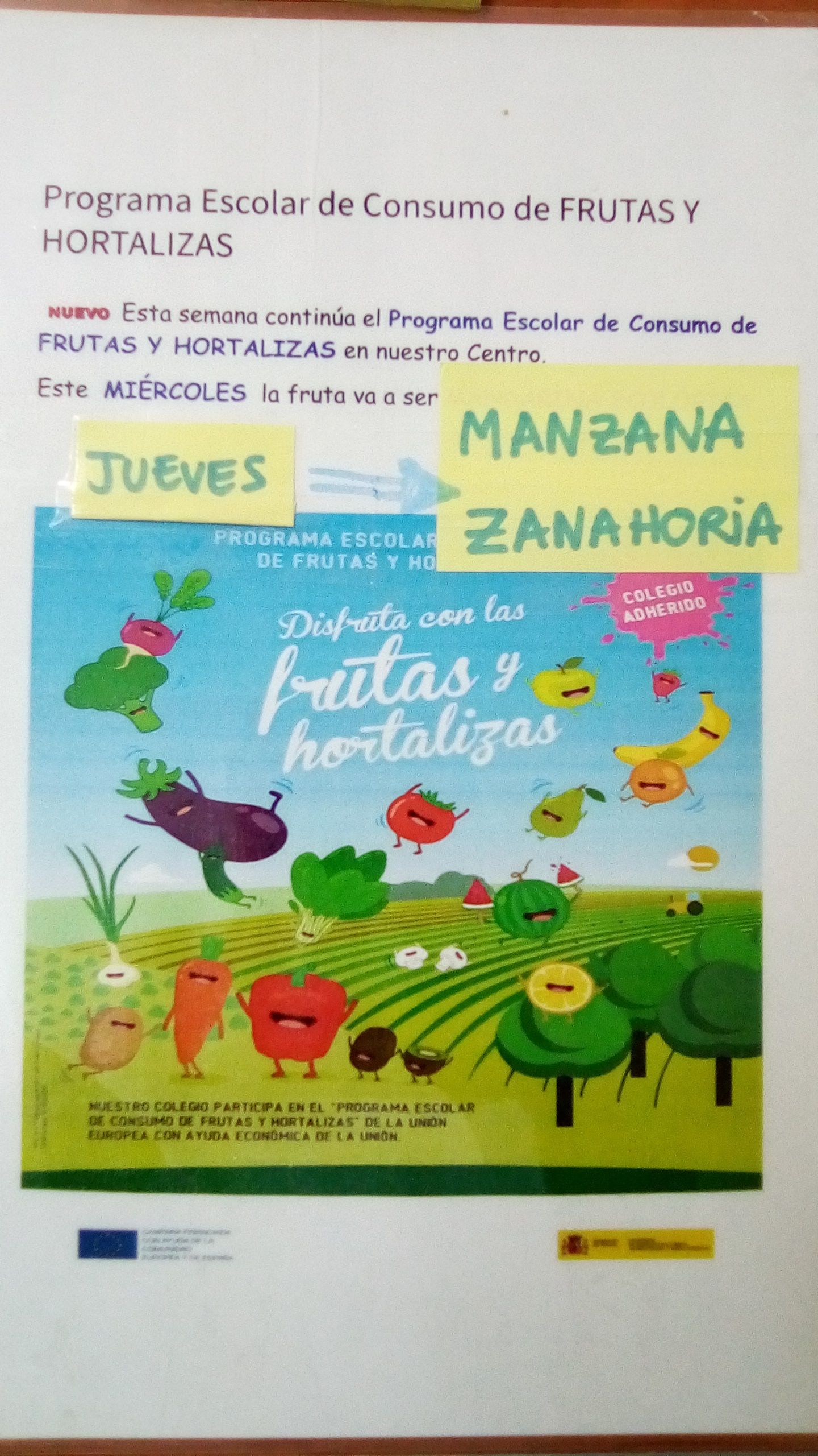 Frutas y hortalizas